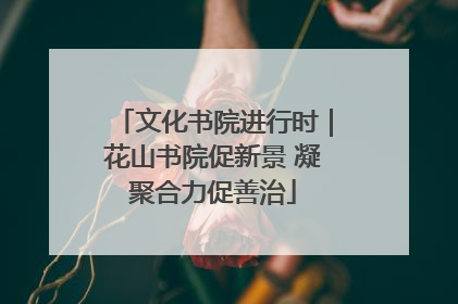 文化书院进行时｜花山书院促新景 凝聚合力促善治