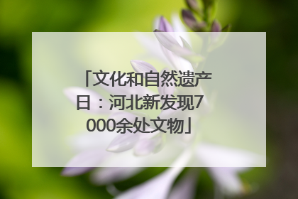 文化和自然遗产日：河北新发现7000余处文物