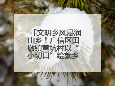 文明乡风浸润山乡！广信区田墩镇黄坑村以“小切口”绘就乡村振兴大图景