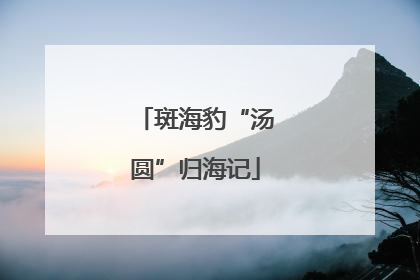 斑海豹“汤圆”归海记