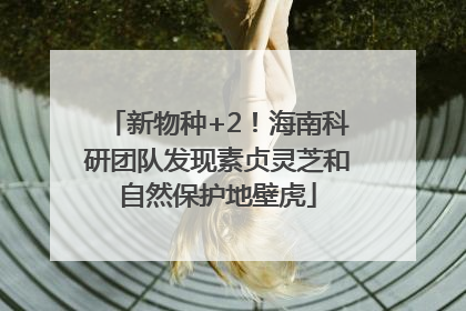 新物种+2！海南科研团队发现素贞灵芝和自然保护地壁虎