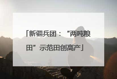 新疆兵团：“两吨粮田”示范田创高产