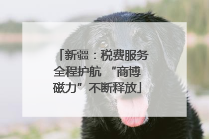 新疆：税费服务全程护航 “商博磁力”不断释放