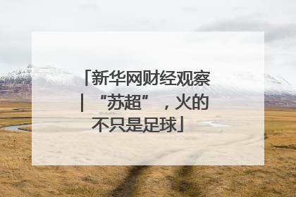 新华网财经观察｜“苏超”，火的不只是足球