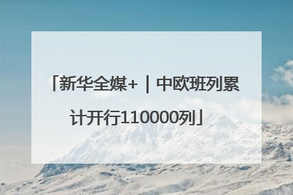 新华全媒+｜中欧班列累计开行110000列