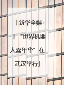 新华全媒+丨“世界机器人嘉年华”在武汉举行