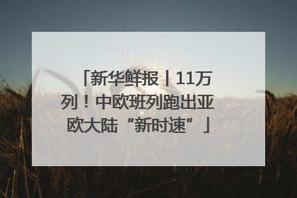 新华鲜报丨11万列！中欧班列跑出亚欧大陆“新时速”