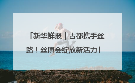 新华鲜报｜古都携手丝路！丝博会绽放新活力