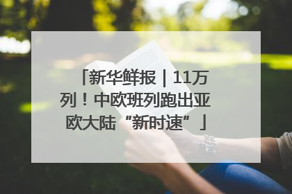 新华鲜报｜11万列！中欧班列跑出亚欧大陆“新时速”