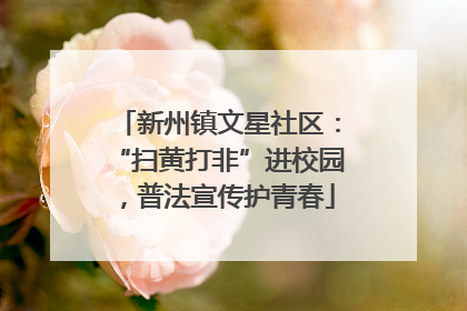 新州镇文星社区：“扫黄打非”进校园，普法宣传护青春