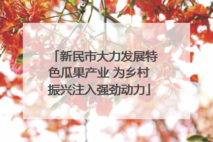 新民市大力发展特色瓜果产业 为乡村振兴注入强劲动力