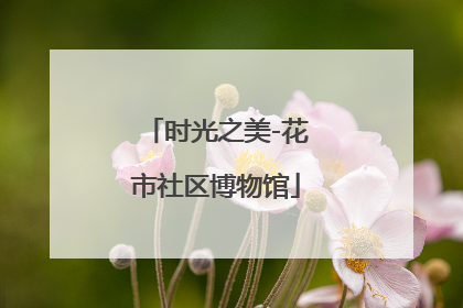 时光之美-花市社区博物馆