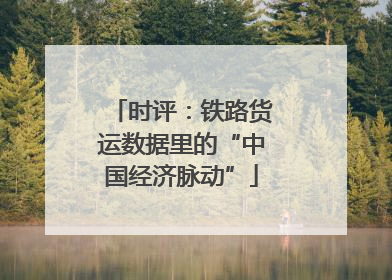 时评：铁路货运数据里的“中国经济脉动”
