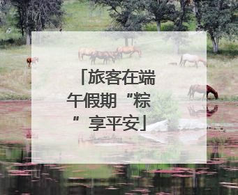 旅客在端午假期“粽”享平安