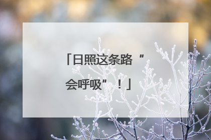 日照这条路“会呼吸”！