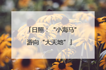 日照：“小海马”游向“大天地”