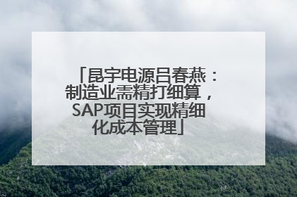 昆宇电源吕春燕：制造业需精打细算，SAP项目实现精细化成本管理