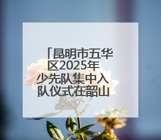 昆明市五华区2025年少先队集中入队仪式在韶山小学举行
