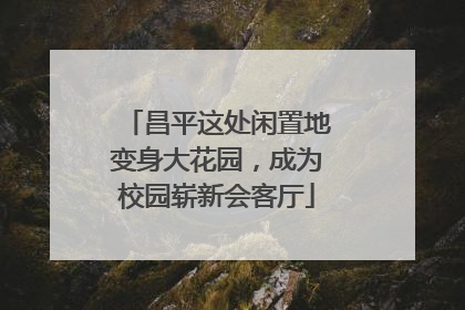 昌平这处闲置地变身大花园，成为校园崭新会客厅