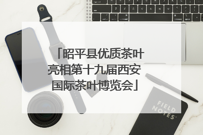 昭平县优质茶叶亮相第十九届西安国际茶叶博览会