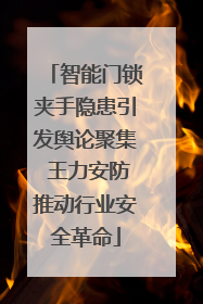 智能门锁夹手隐患引发舆论聚集 王力安防推动行业安全革命