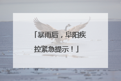 暴雨后，阜阳疾控紧急提示！