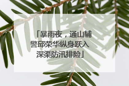 暴雨夜，通山辅警邱荣华纵身跃入深渠防汛排险