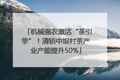 机械强农激活“茶引擎”！清镇中坝村茶产业产能提升50%