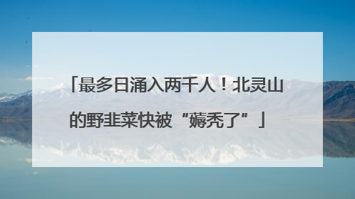 最多日涌入两千人！北灵山的野韭菜快被“薅秃了”