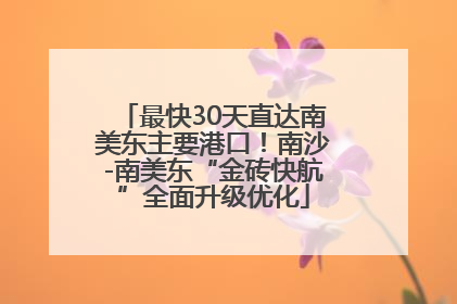 最快30天直达南美东主要港口！南沙-南美东“金砖快航”全面升级优化
