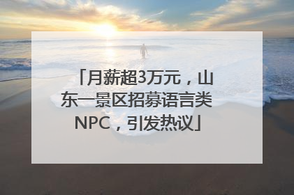 月薪超3万元，山东一景区招募语言类NPC，引发热议