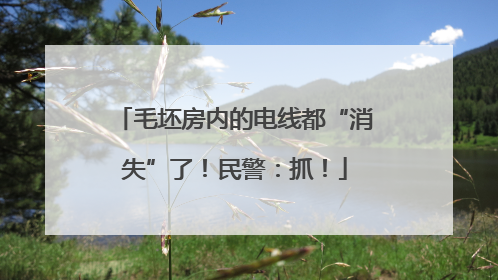 毛坯房内的电线都“消失”了！民警：抓！