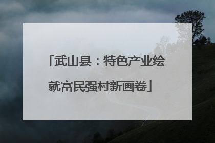 武山县：特色产业绘就富民强村新画卷