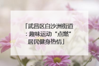 武昌区白沙洲街道：趣味运动“点燃”居民健身热情