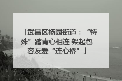 武昌区杨园街道：“特殊”踏青心相连 架起包容友爱“连心桥”