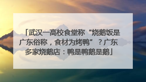 武汉一高校食堂称“烧鹅饭是广东俗称，食材为烤鸭”？广东多家烧鹅店：鸭是鸭鹅是鹅