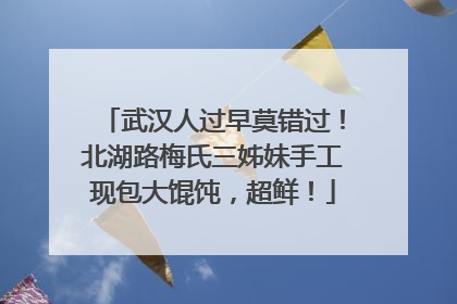 武汉人过早莫错过！北湖路梅氏三姊妹手工现包大馄饨，超鲜！