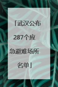 武汉公布287个应急避难场所名单