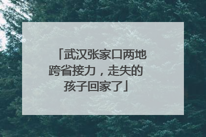 武汉张家口两地跨省接力，走失的孩子回家了