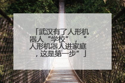 武汉有了人形机器人“学校”，“人形机器人进家庭，这是第一步”