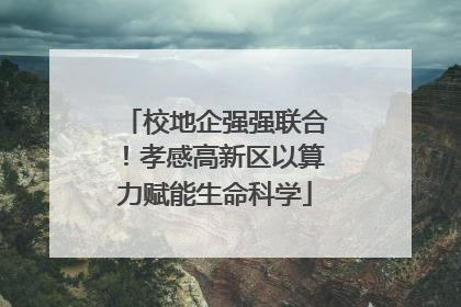校地企强强联合！孝感高新区以算力赋能生命科学