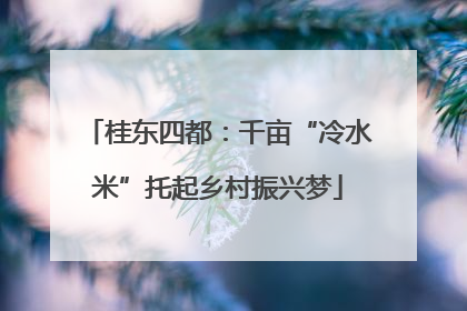 桂东四都：千亩“冷水米”托起乡村振兴梦