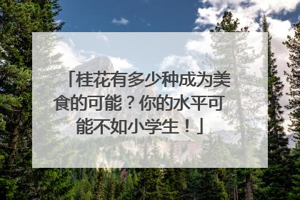 桂花有多少种成为美食的可能？你的水平可能不如小学生！