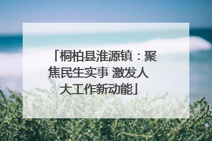 桐柏县淮源镇：聚焦民生实事 激发人大工作新动能
