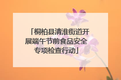 桐柏县清淮街道开展端午节前食品安全专项检查行动