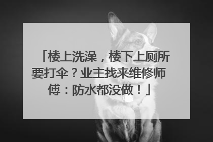 楼上洗澡，楼下上厕所要打伞？业主找来维修师傅：防水都没做！