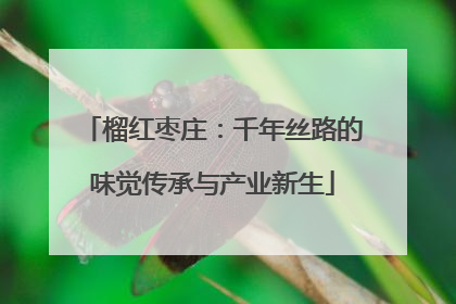 榴红枣庄：千年丝路的味觉传承与产业新生