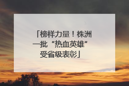 榜样力量！株洲一批“热血英雄”受省级表彰