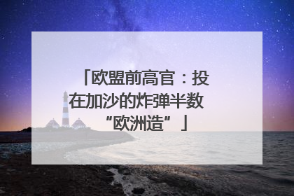 欧盟前高官：投在加沙的炸弹半数“欧洲造”