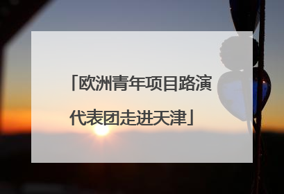 欧洲青年项目路演代表团走进天津